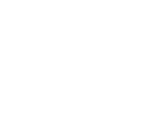 IntuBlade